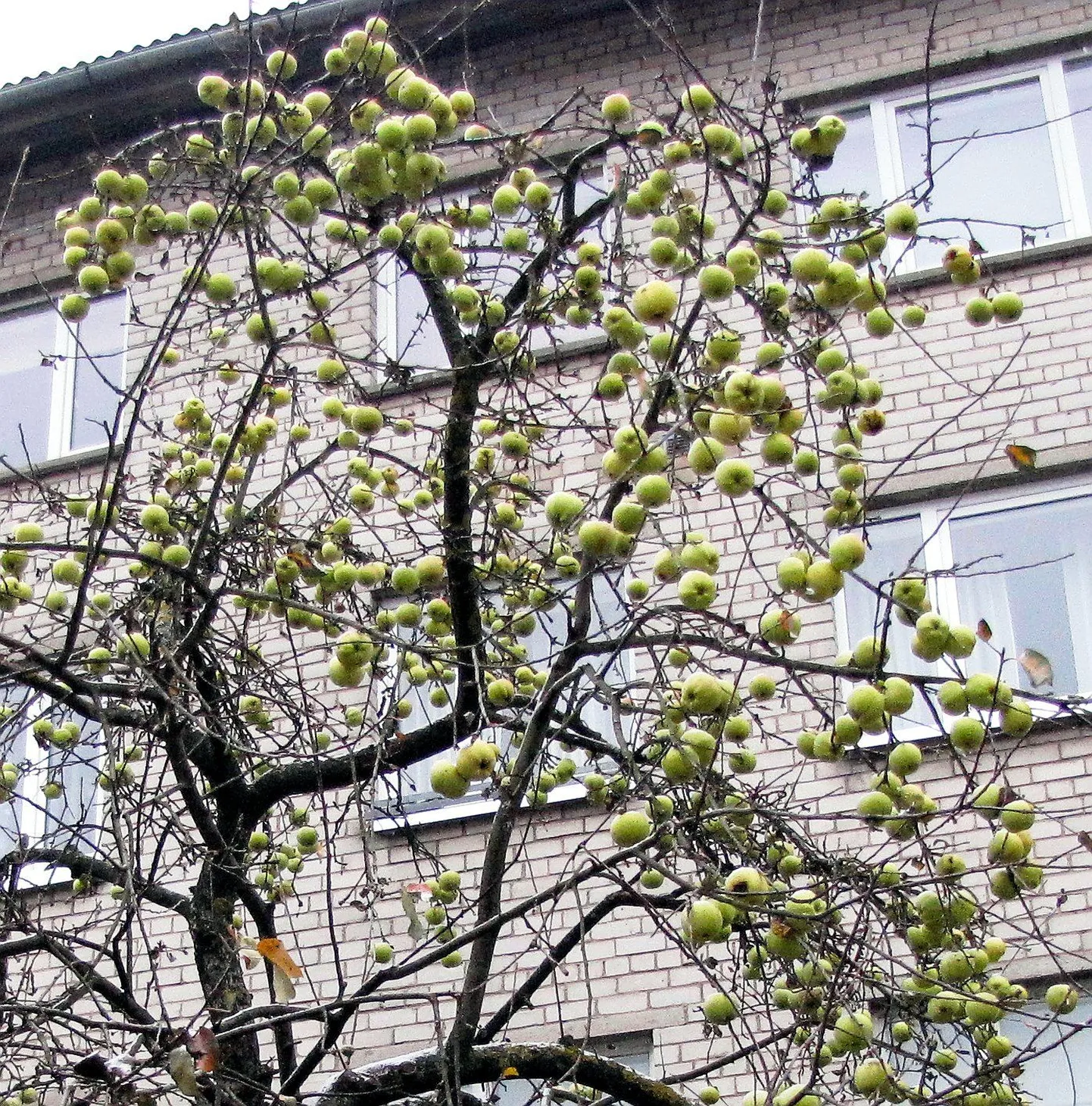 Фото статьи