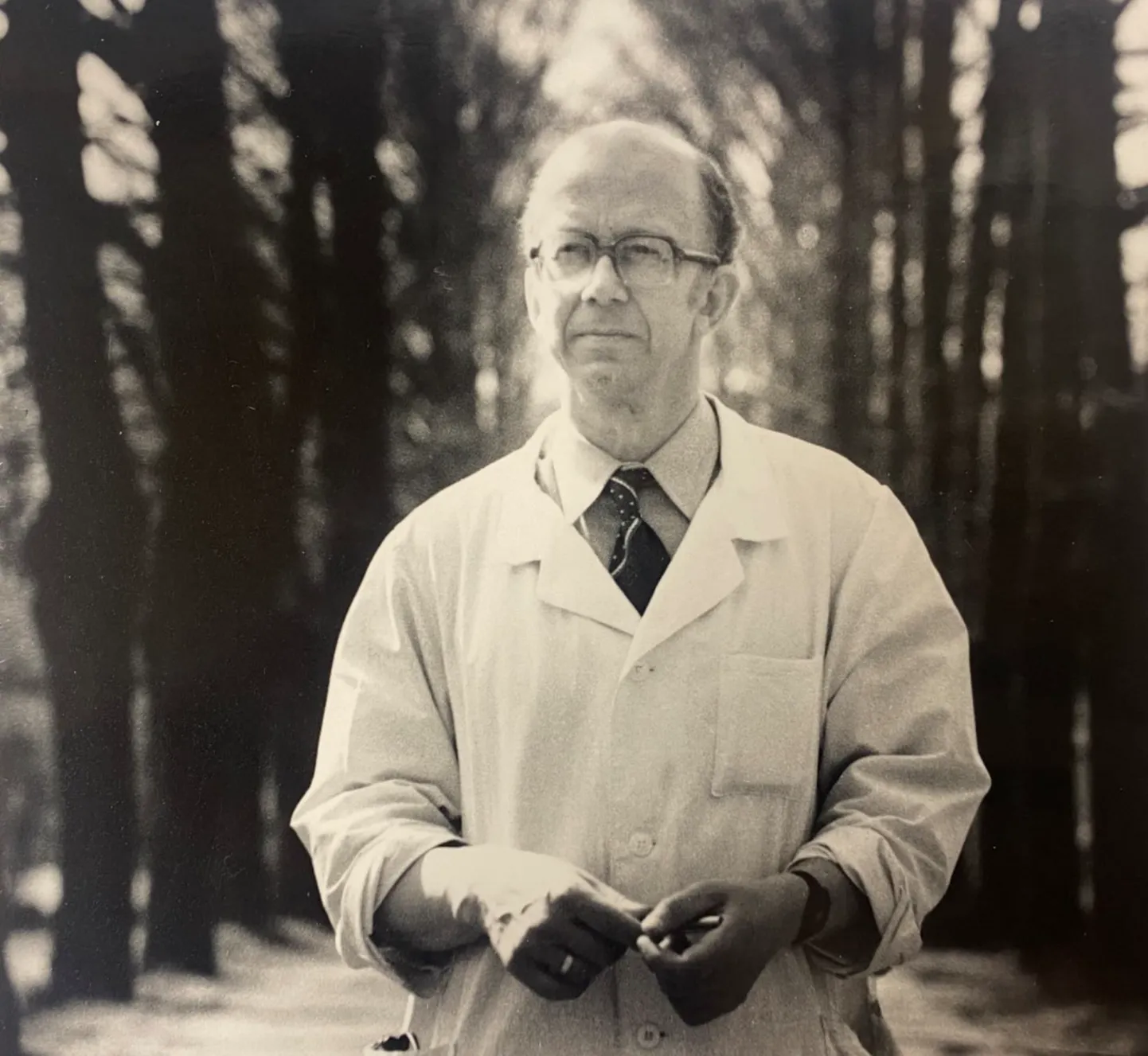 Raksta foto