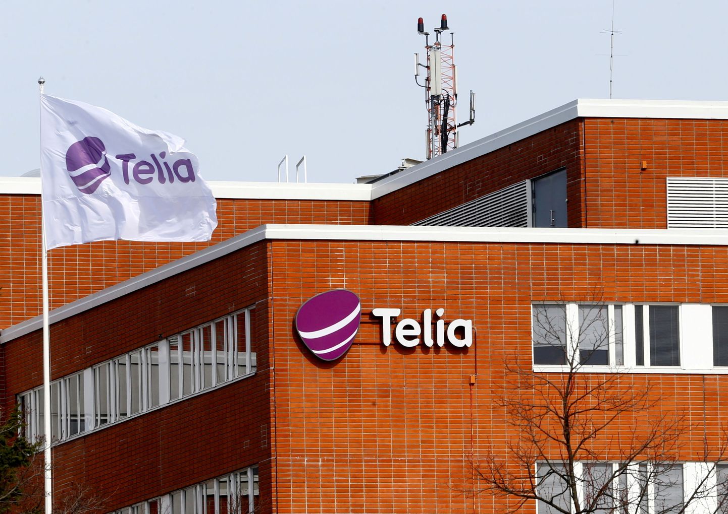 Telia logo. Foto on illustreeriv.