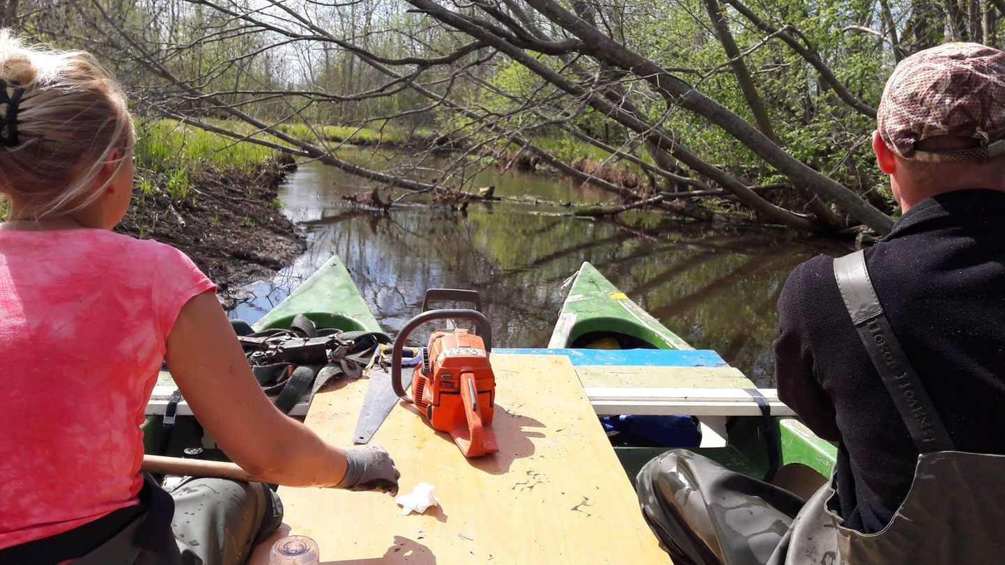 Jõe puhastamine – kahest vanast kanuust tehti parv, mis hõlbustas okste lõikust. Peagi saab sõita uute kanuudega.
