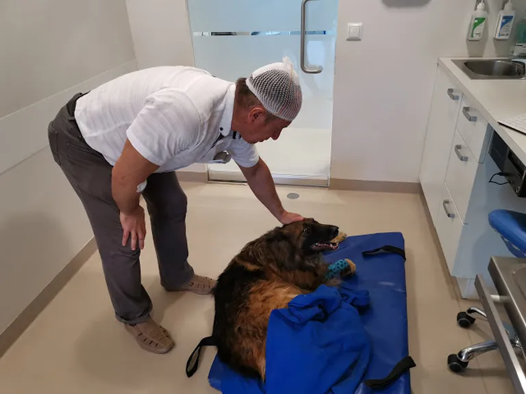 Artikli foto