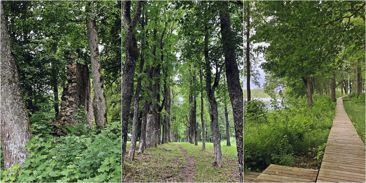 Raksta foto