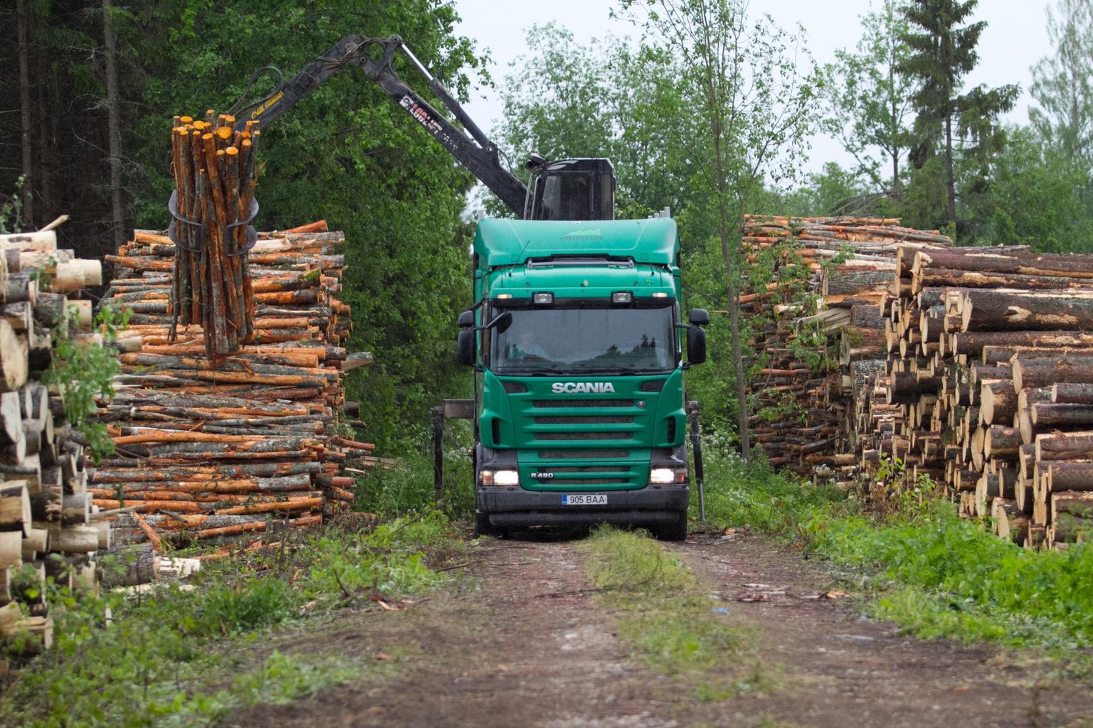 RMK metsades töötavad metsaveoautojuhid vajavad tuleva aasta suvest kutsetunnistust.