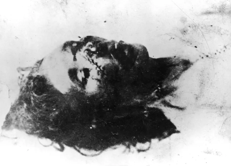 Foto tapetud Catherine Eddowesist