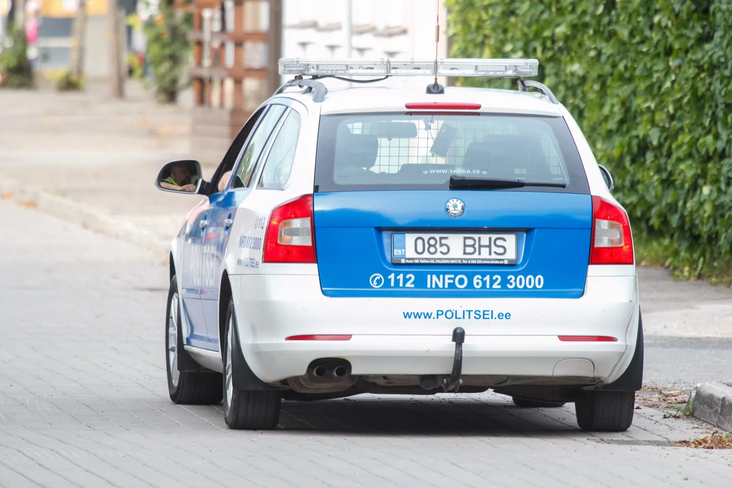 Artikli foto