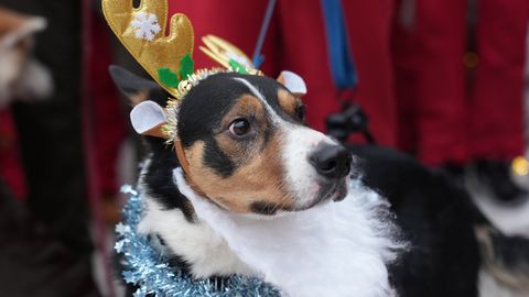 Šodien vietām gaidāms sniegs