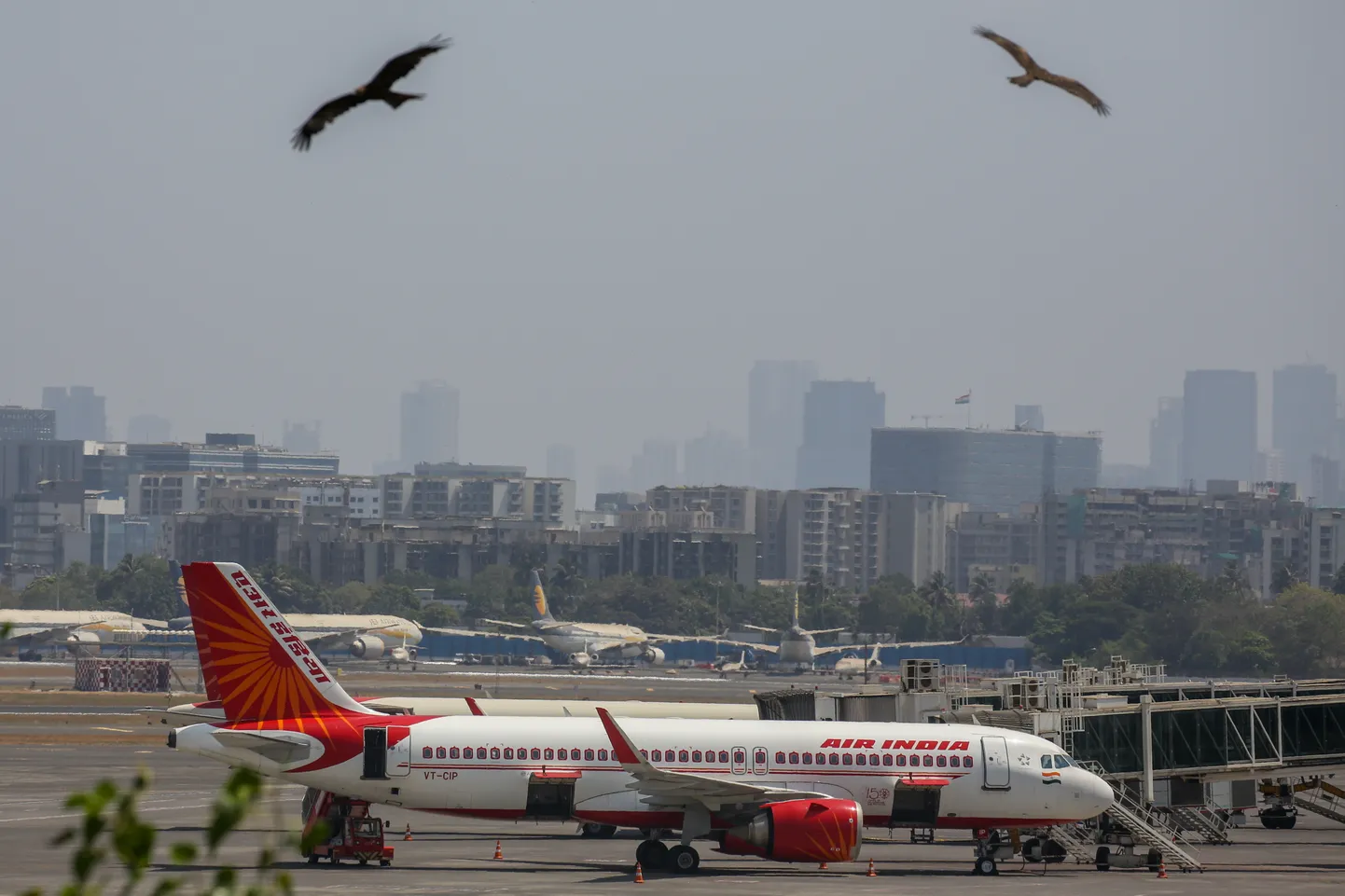 India lennufirma Air India reisilennuk Chhatrapati Shivaji rahvusvahelises lennujaamas Mumbais. Foto ei ole otseselt looga seotud.
