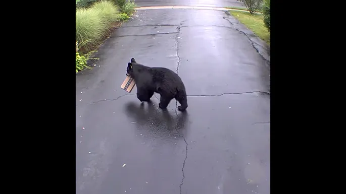 Смотреть ❤️ порно америка ❤️ подборка порно видео ~ domikvboru.ru