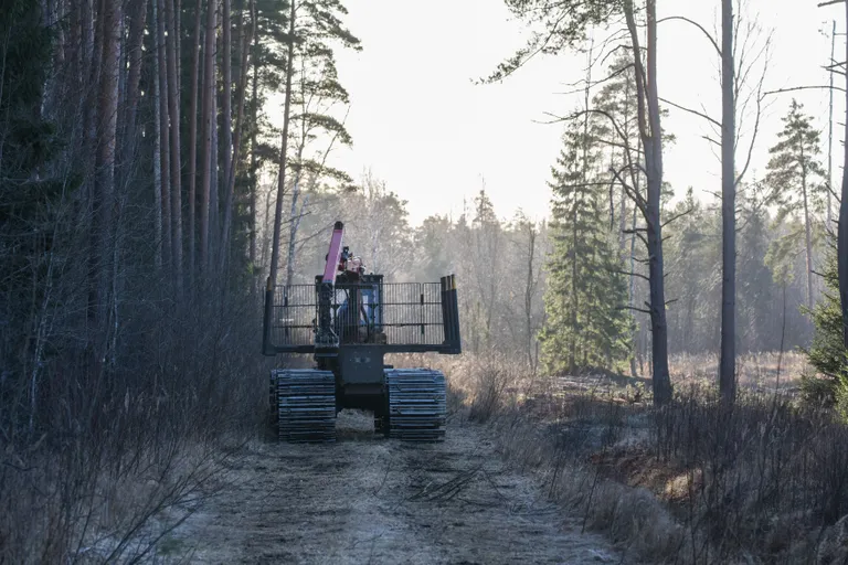 Pärnumaal peatati täna raietegevus ja kõik masinad jäeti seisma.