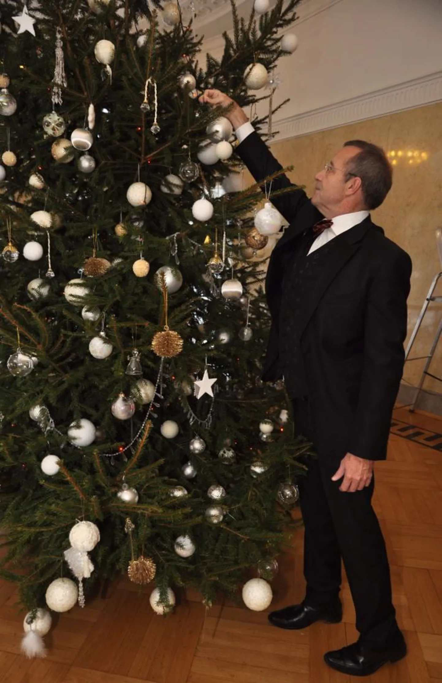 President Toomas Hendrik Ilves ehtis Kadriorgu Ärma talust toodud jõulukuuske.