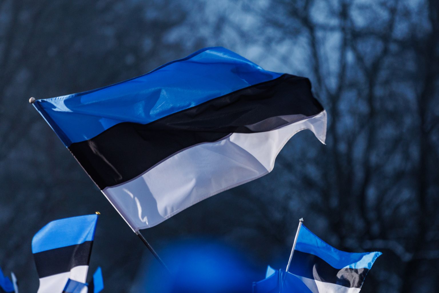 Tallinnas Toompeal heisati Eesti lipp pidulikult Pika Hermanni torni.
