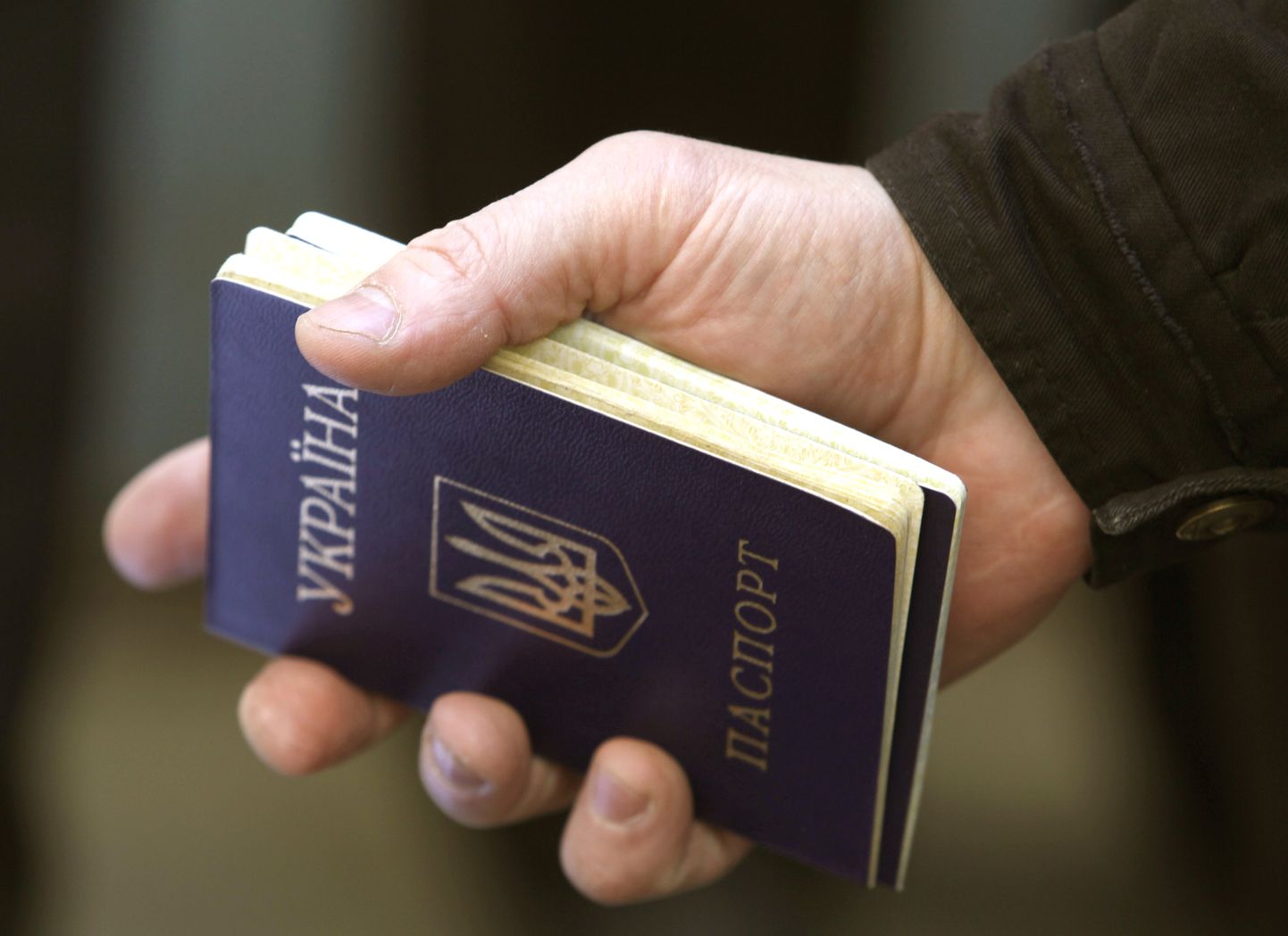 Украинский паспорт. Иллюстративное фото.