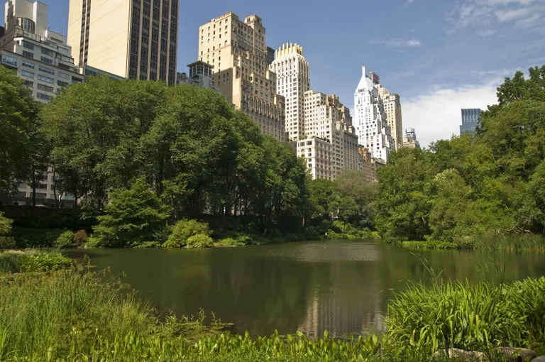 Central Park New Yorgis