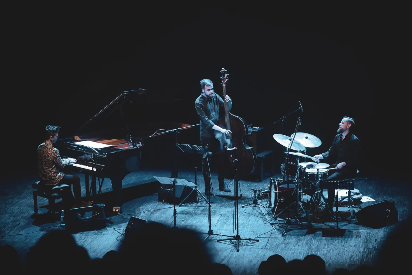 Holger Marjamaa trio.
