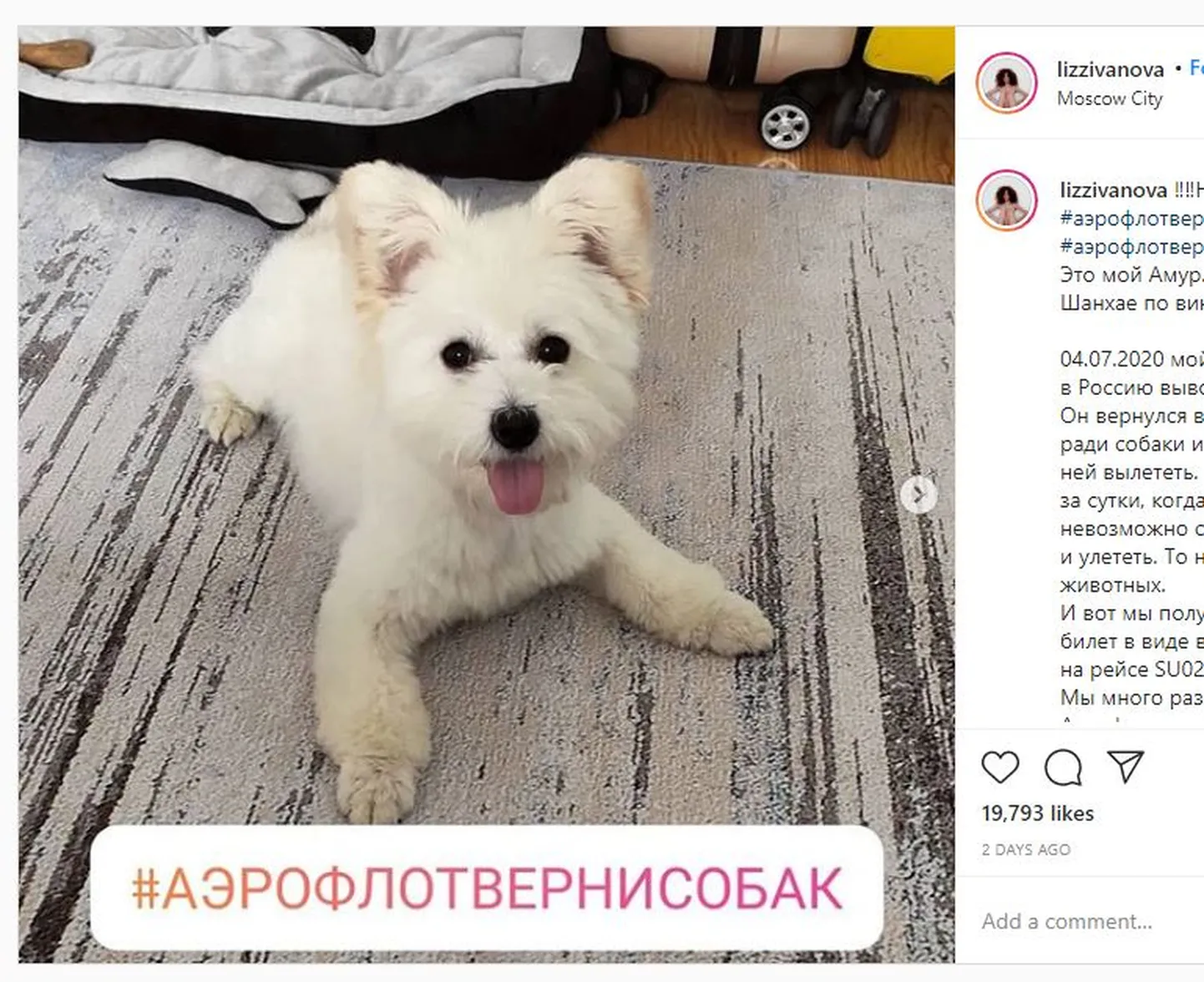 Фото статьи