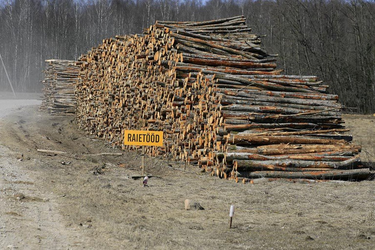 ELMO RIIG
Heas usus Viljandi metsaärimehega kaupa teinud eraisik jäi ilma metsamaterjalist ja selle müügi tulust.