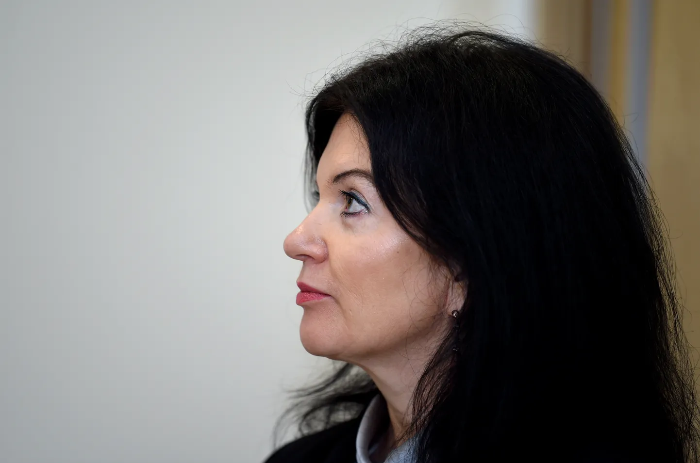 Raksta foto