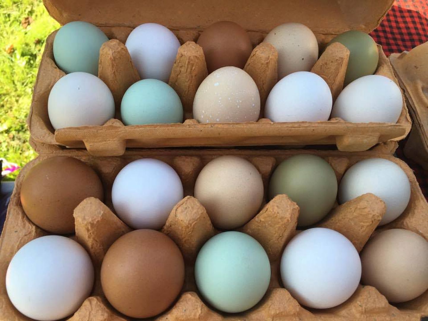 Mäeotsa hobitalu värvilised munad