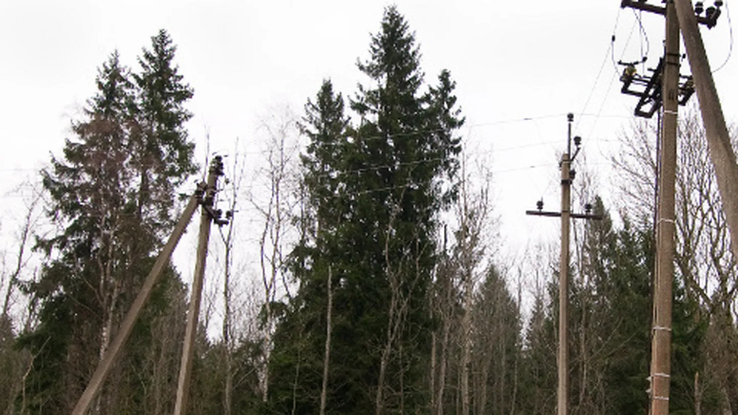 Metsas kulgevaid õhuliine ohustavad tugeva tuulega kukkuvad puud, misjärel avariibrigaad peab pahatihti tuisus või tormis kõigepealt õiget kohta otsima, et siis seda parandama hakata.