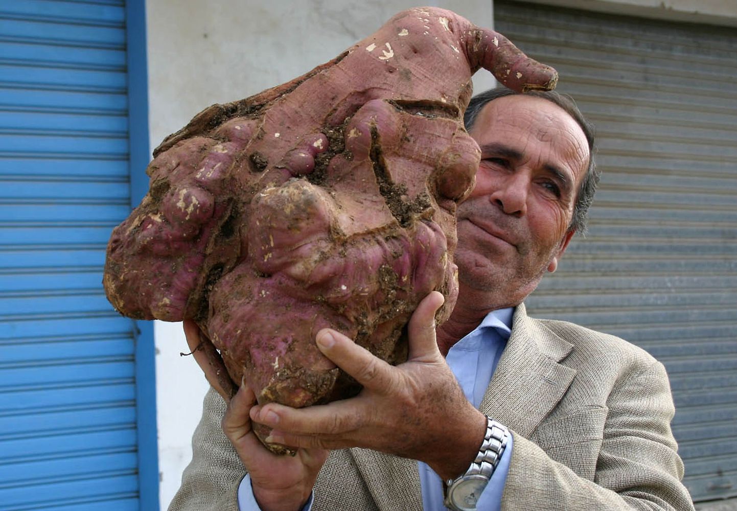 Liibanoni farmer Khalil Semhat hoidmas 11,3 kilogrammi kaaluvat kartulit