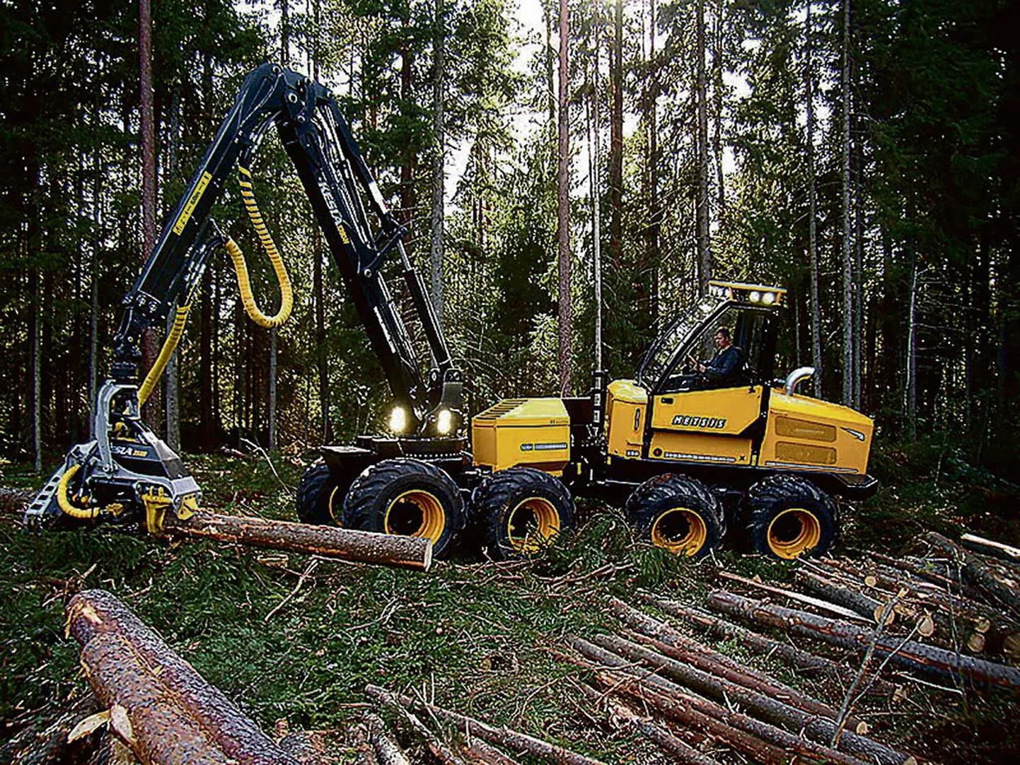 Viljandimaal töötav kaheksarattaline harvester Metsis 608H on esimene, mis Metsise kaubamärgi all valmis.