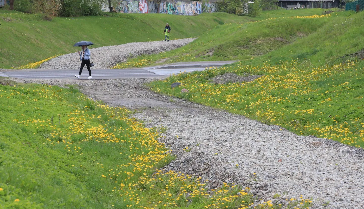 Endise sadamaraudtee ja Võru tänava ristumiskoht. Kas raudteekoridorist peaks saama uus autotänav, promeneerimise ala või kiire rattamagistraal?