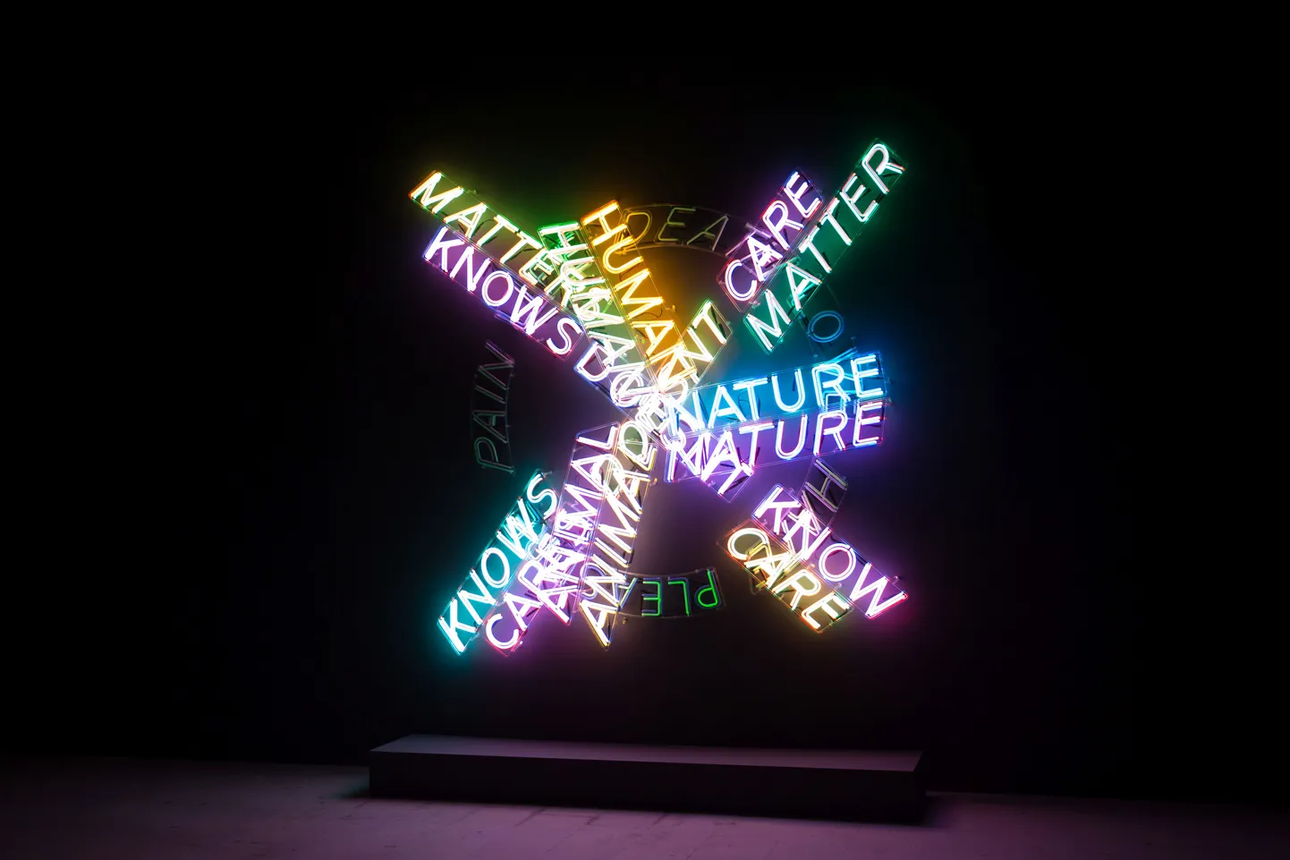 Neoonkunsti klassikat. Bruce Naumani "Human nature"(1983) Veneetsia biennaalil