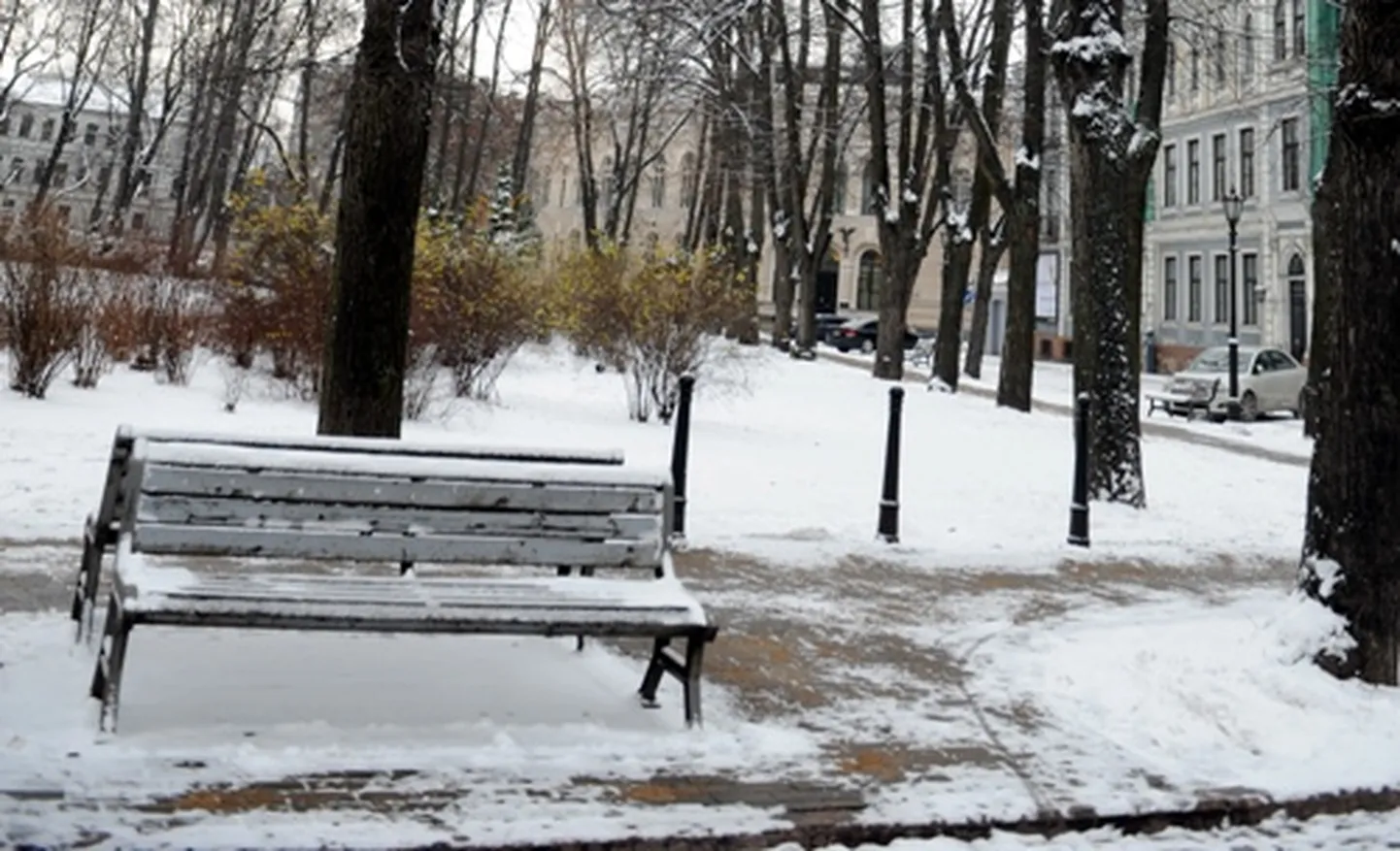 Raksta foto