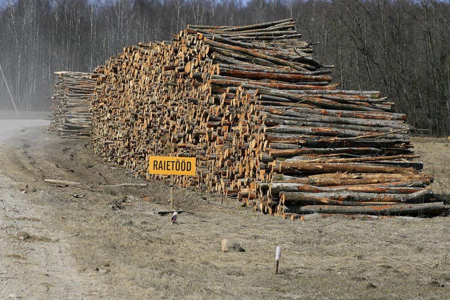 ELMO RIIG
Heas usus Viljandi metsaärimehega kaupa teinud eraisik jäi ilma metsamaterjalist ja selle müügi tulust.