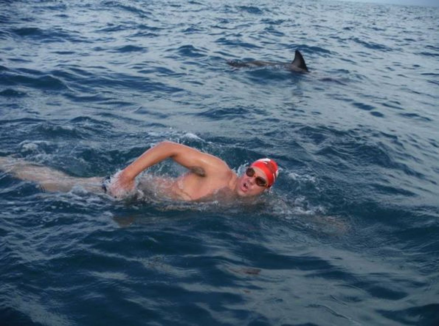 Uus-Meremaal kaitsesid delfiinid pikamaaujujat haide eest