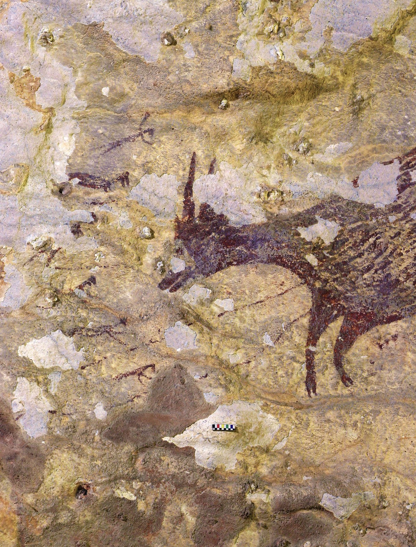Найденное в Индонезии древнейшее изображение охоты.