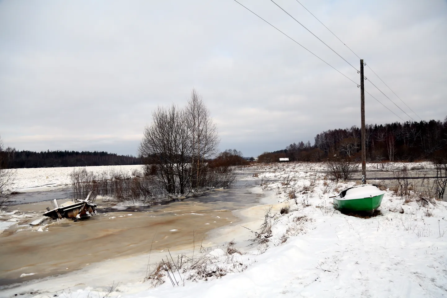 Raksta foto