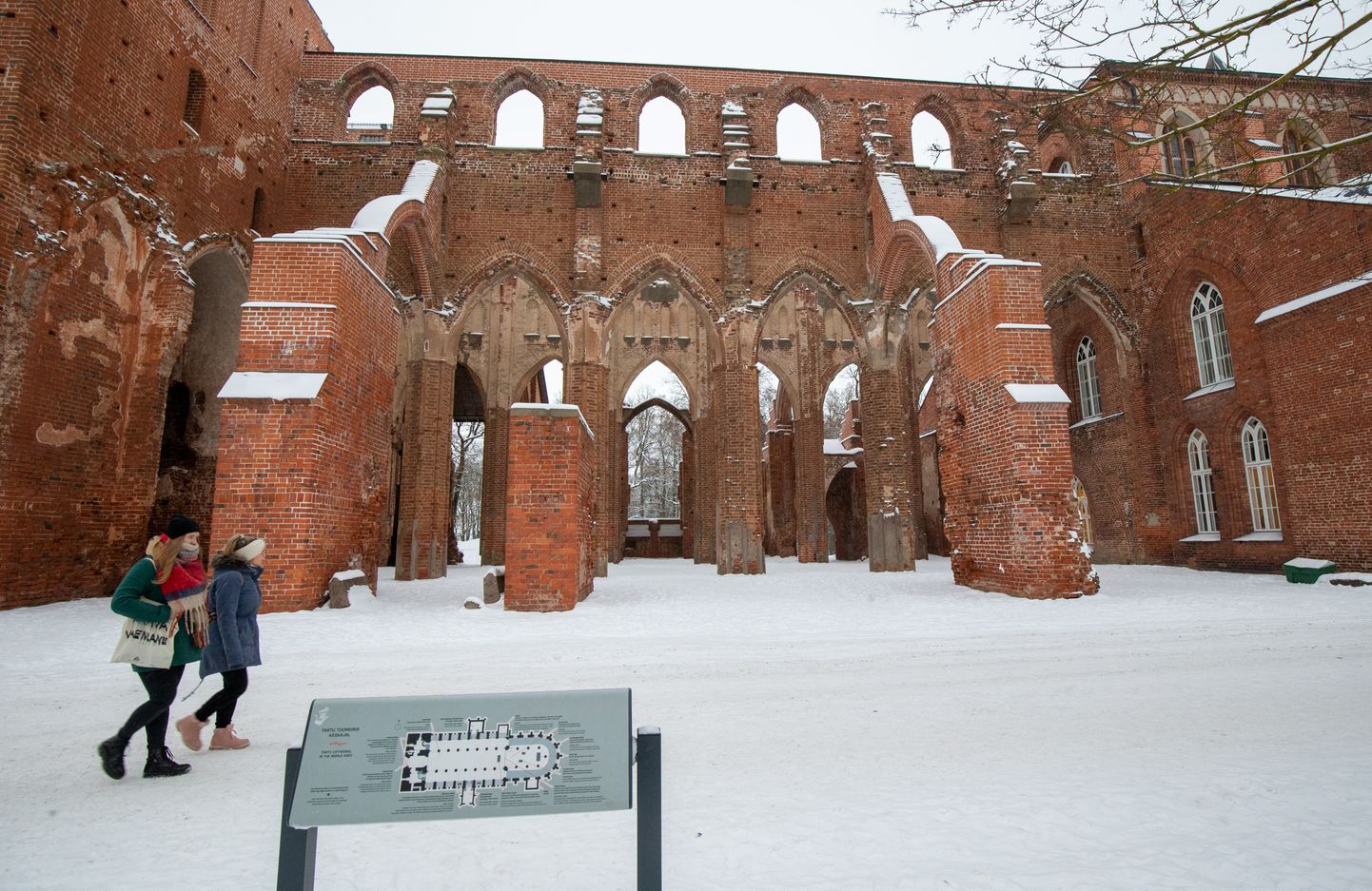 Toomemäel asuvatesse toomkiriku varemetesse restorani ei tule, kuid Tartu ülikool on nende kasutamiseks avatud uutele ideedele.