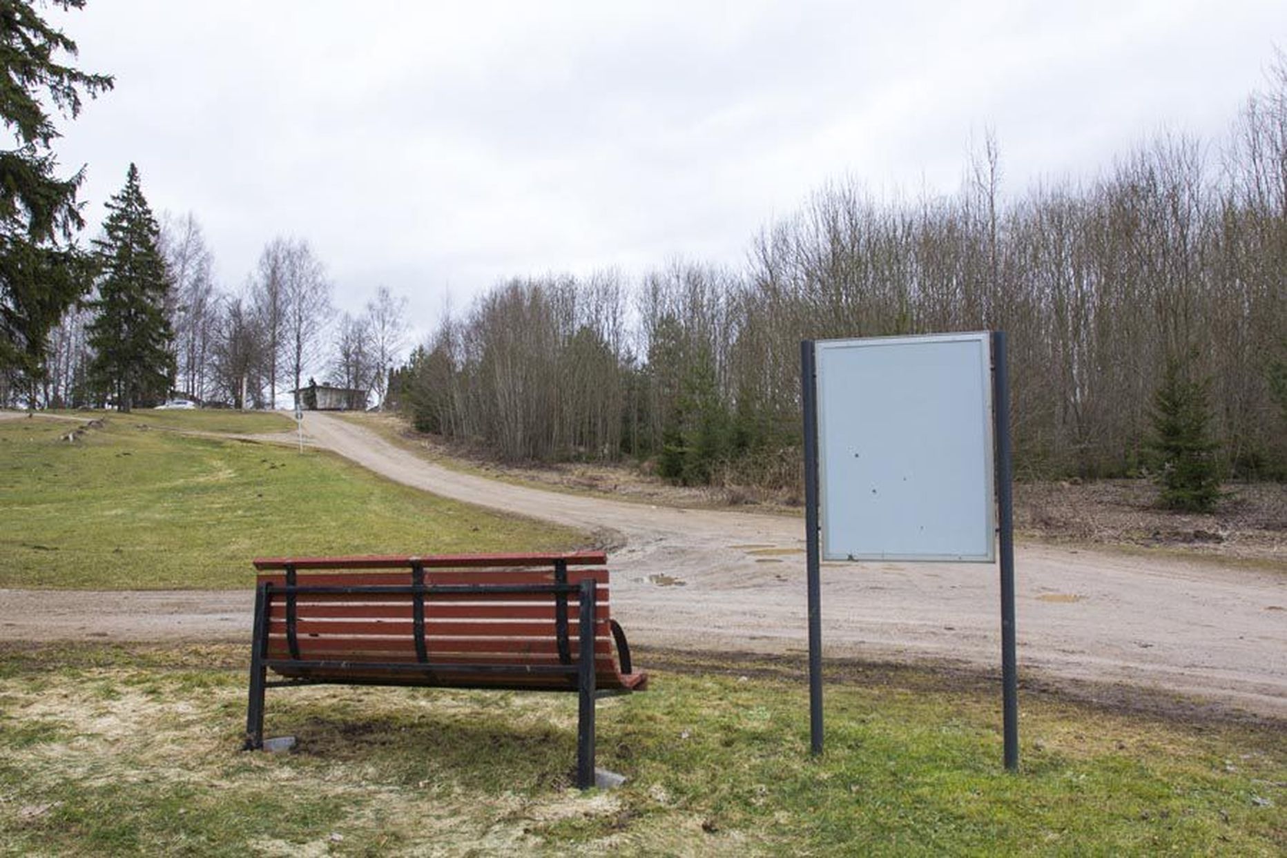 Viljandis on lemmikloomade kalmistu kavas avada 2019. aastal ning ühe võimaliku paigana näevad linnametnikud Metsakalmistu lähedal asuvat Oja tee 12 kinnistut.