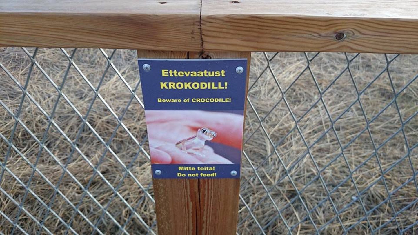 Pärnu rannaniidu matkaraja käepiirde külge on kinnitatud eesti- ja ingliskeelse hoiatava sildi "Ettevaatust, krokodill!".