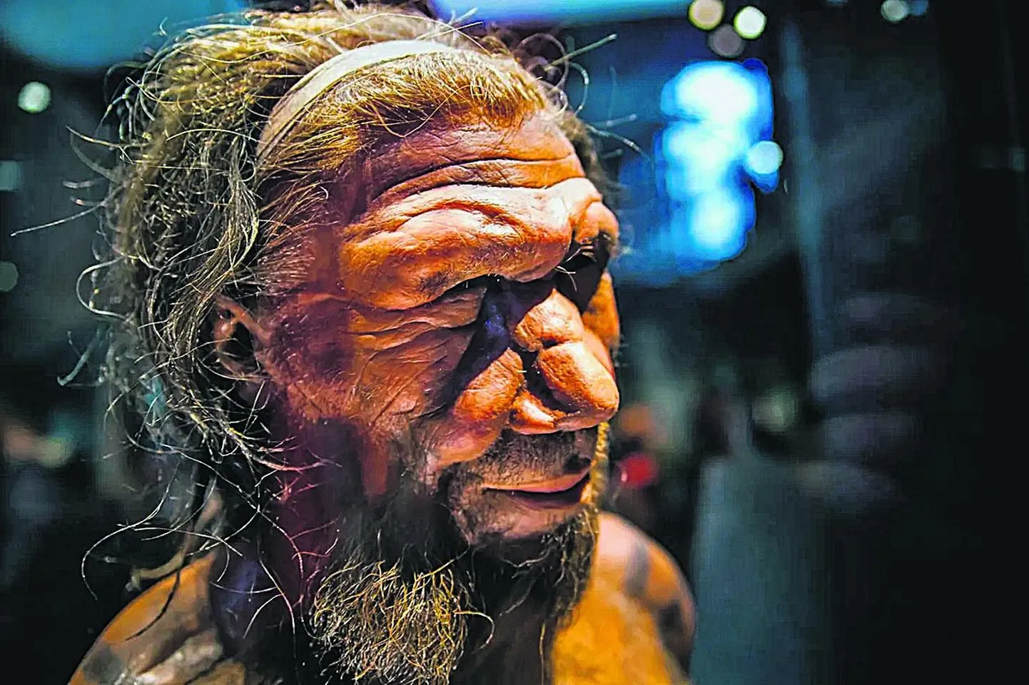 Neandertaallane.