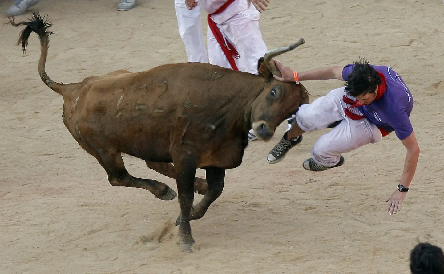 Pamplona härjajooks