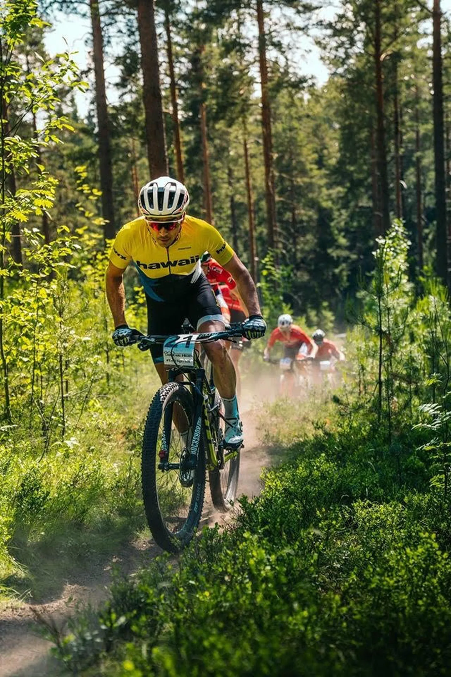 Martin Loo Rootsis, Põhjamaade meistrivõistlustel 2019