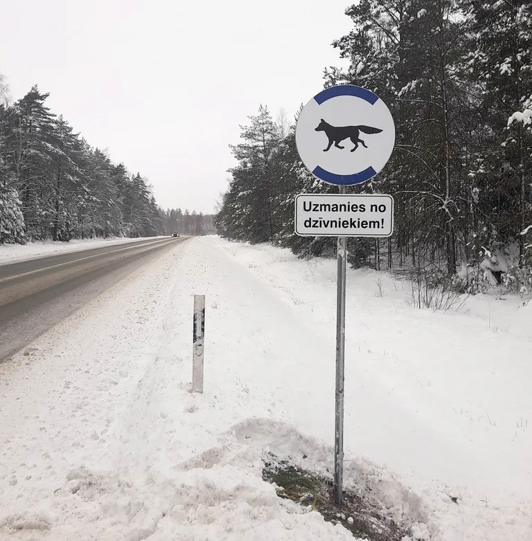 Raksta foto