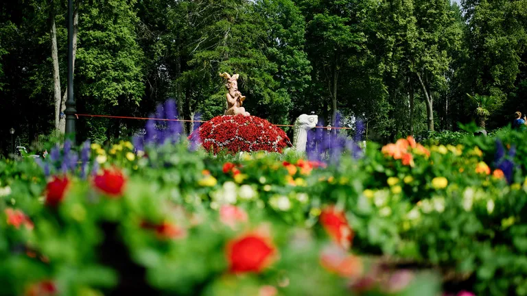 Фото статьи