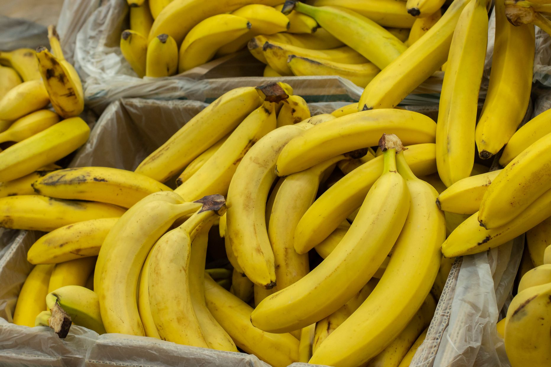 Бананы в супермаркете. Иллюстративный снимок.
