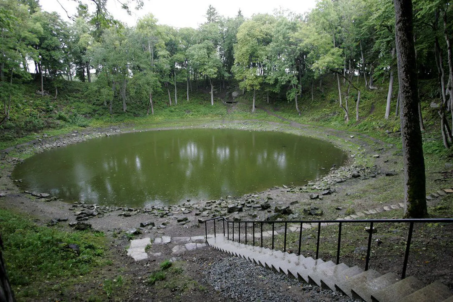 Фото статьи
