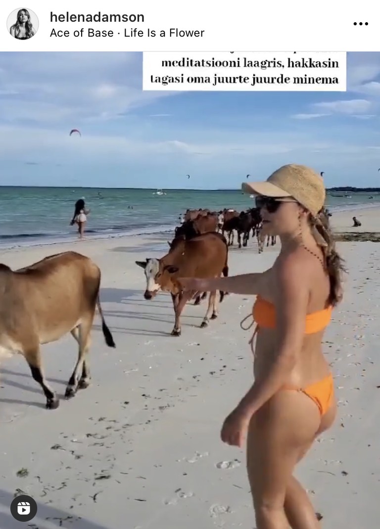 Helen Adamson veedab rannas aega koos lehmadega.