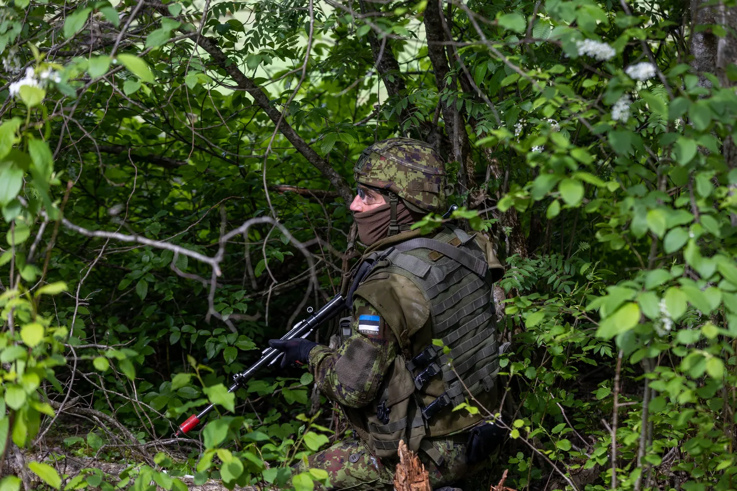 President's defense adviser refutes claims of Estonian troops deployment to Ukraine.