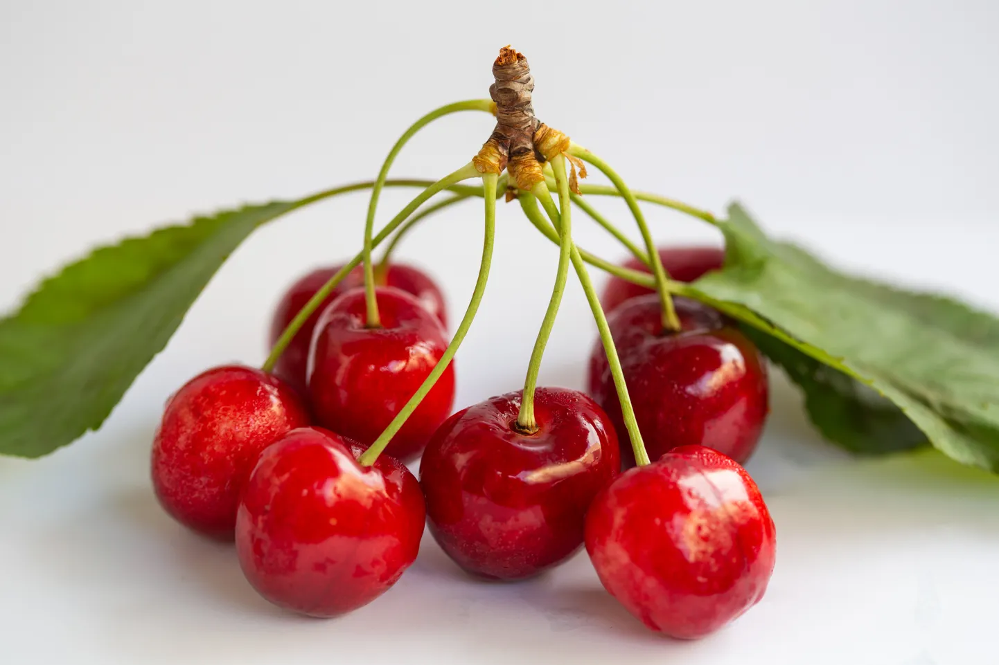 26.05.2018., Dubrovnik - Cherries. Photo: Grgo Jelavic/PIXSELL