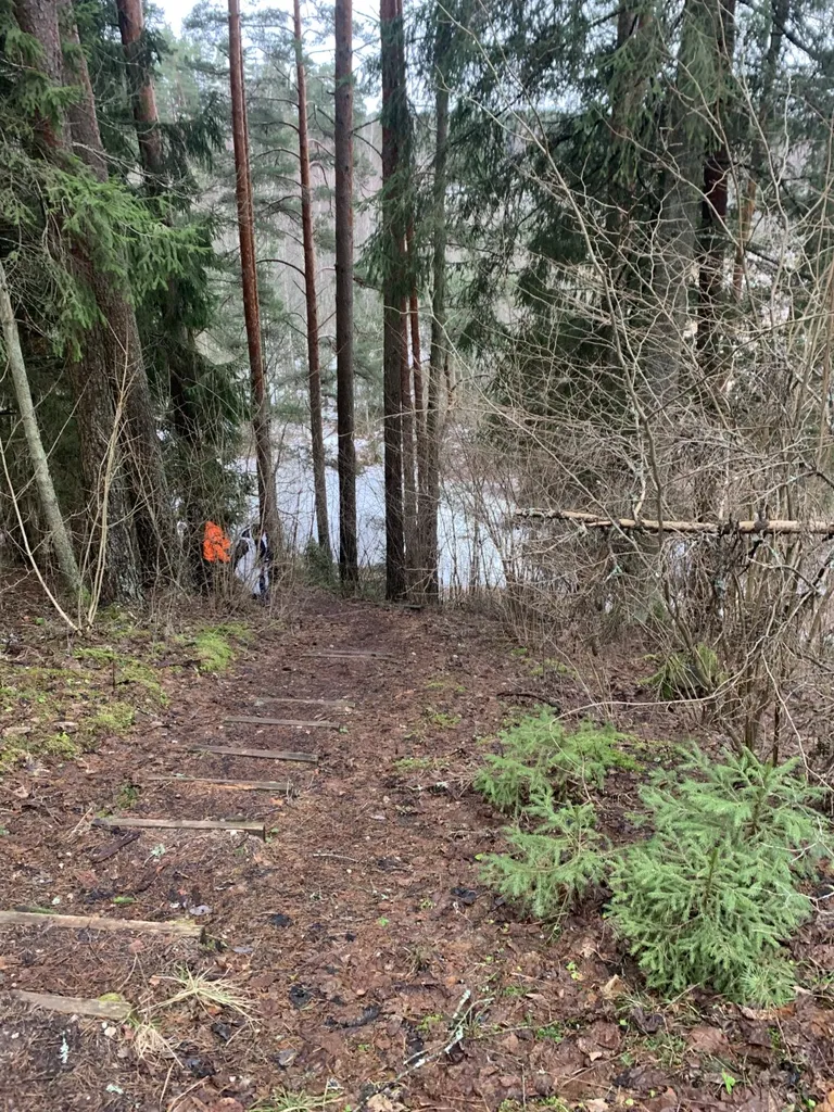 Viljandi Sinnialliku, lund ei ole