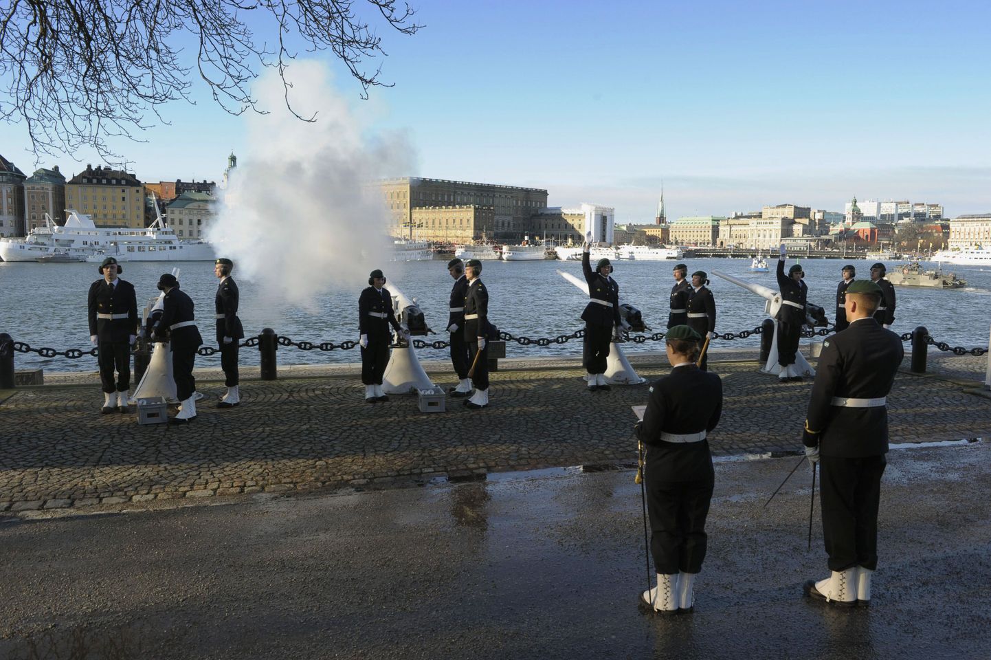 Rootsi relvajõud tulistasid uue printsessi sünni puhul suurtükist aupauke juba täna.