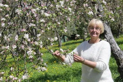 Anne Luik.
