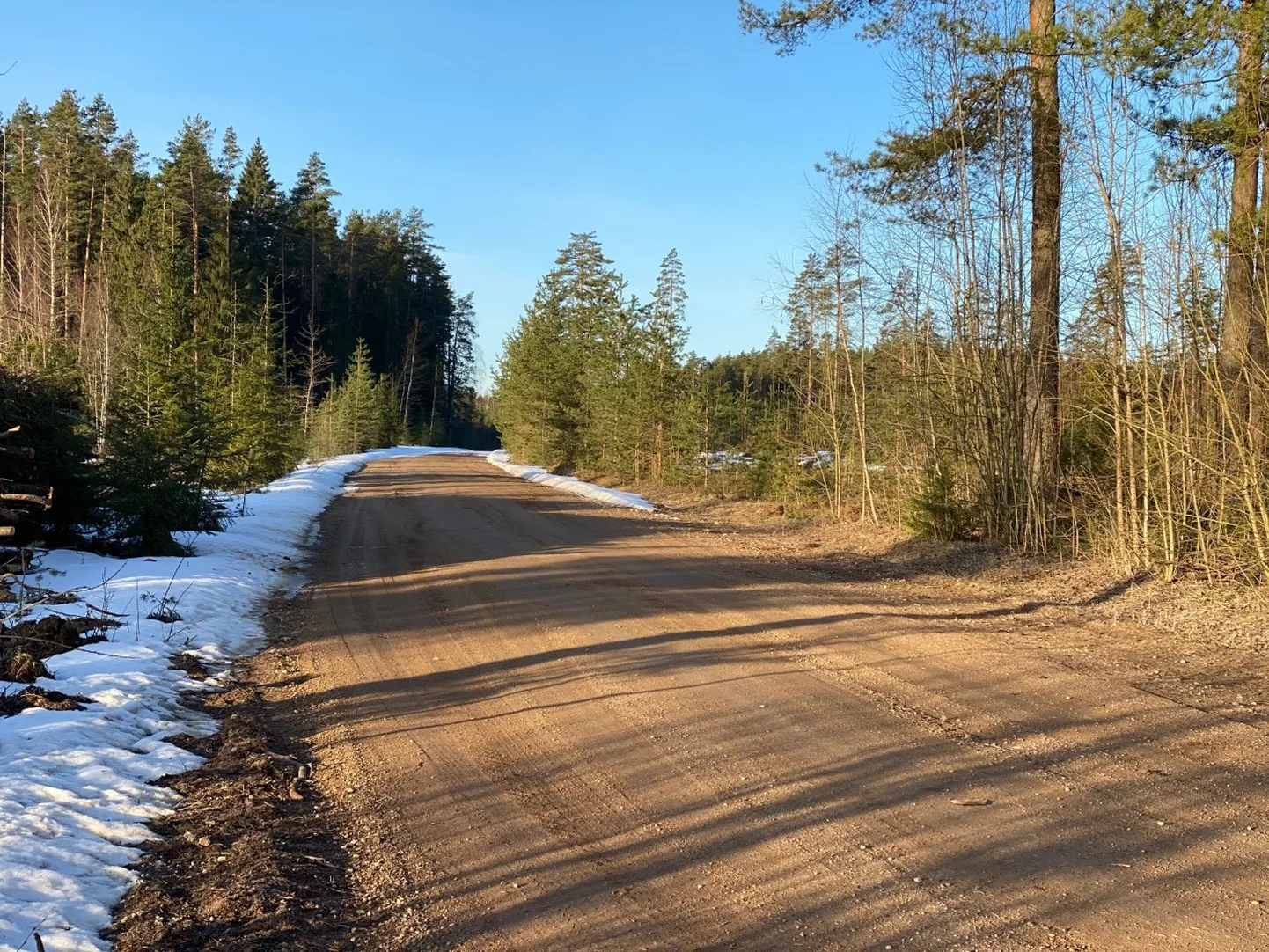 Päevasoojus on muutnud teekatted juba pehmeks.