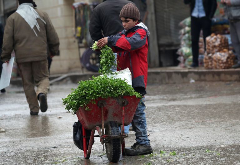 Poiss Põhja-Süürias Manbijis turul peterselli müümas. 